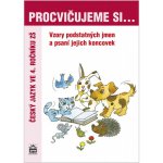 Vzory podstatných jmen a psaní jejich koncovek - Lenka Galertová, Milena Brychtová – Hledejceny.cz