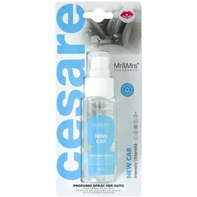 Mr&Mrs Fragrance Cesare Spray New Car – Hledejceny.cz