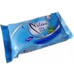 Miléne toaletní mýdlo aloe vera 100 g – Zboží Mobilmania