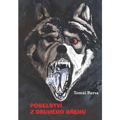 Poselství z druhého břehu - Tomáš Bursa