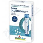 THUYA OCCIDENTALIS POR 9CH GRA 3X4G – Hledejceny.cz