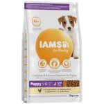 Iams Dog Adult Small & Medium s jehněčím masem 12 kg – Hledejceny.cz