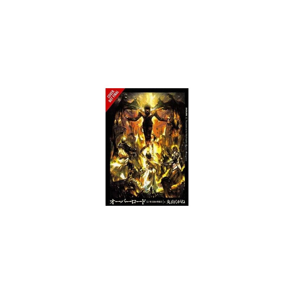 Overlord Vol 12 Light Novel Heureka Cz