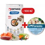 Ontario Cat Longhair 6,5 kg – Sleviste.cz