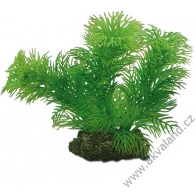Hobby Egeria 13 cm – Sleviste.cz
