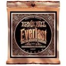 Ernie Ball 2548