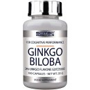 Scitec Nutrition Ginkgo Biloba 100 tablet