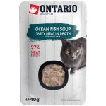 Ontario Cat Soup Ocean Fish with vegetables 40 g – Hledejceny.cz