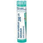 AURUM MURIATICUM NATRONATUM POR 200CH GRA 1X4G – Hledejceny.cz