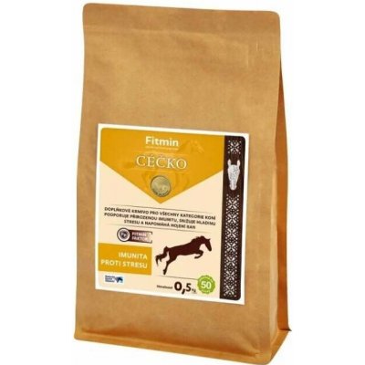 Fitmin Vitamin C 0,5 g – Hledejceny.cz
