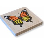 Montessori Životní cyklus motýla – Sleviste.cz
