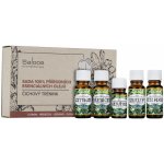 Saloos sada esenciálních olejů Čichový trénink 1 x ml + 4 x 10 ml – Zboží Dáma Saloos sada esenciálních olejů Čichový trénink 1 x ml + 4 x 10 ml – Zboží Dáma