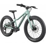 Cannondale Kids Trail Plus 2026 – Hledejceny.cz