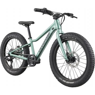 Cannondale Kids Trail Plus 2026 – Hledejceny.cz