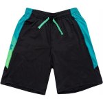 Under Armour junior boys Raid Shorts Black – Hledejceny.cz