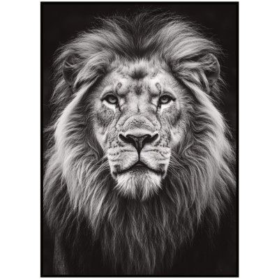 Jen tak z lásky Plakát Portrét lva I. Rozměr plakátu: A4 (21 x 29,7 cm) – Sleviste.cz