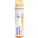 CALCAREA CARBONICA POR 15CH GRA 1X4G – Hledejceny.cz
