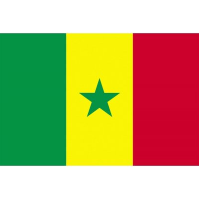 Státní vlajka Senegal tištěná venkovní Alerion – Hledejceny.cz