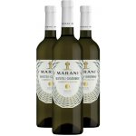 Marani Rkatsiteli-Chardonnay bílé suché 2022 13,5% 0,75 l (holá láhev) – Hledejceny.cz