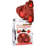Mixit Křupavé jahody v čokoládě do kapsy 60 g – Zboží Mobilmania