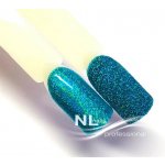 NL nails professional GLITTER LASER – Hledejceny.cz