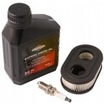 Briggs & Stratton SAE 30 600 ml – Sleviste.cz