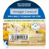Vonný vosk Yankee Candle Cucumbert Mint Cooler vonný vosk do aromalampy 22 g