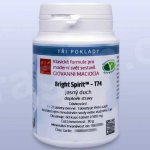 Giovanni Maciocia T74 Jasný duch 60 tablet – Hledejceny.cz