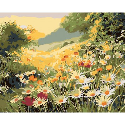 ZUTY Malování podle čísel LETNÍ LOUKA 40 x 50 cm – Hledejceny.cz
