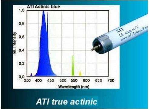 ATI Actinic zářivka T5 54 W, 1149 mm od 479 Kč - Heureka.cz