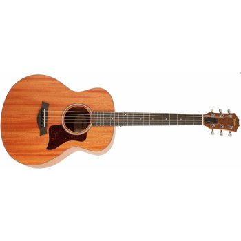 TAYLOR GS Mini