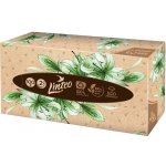 Linteo Papírové kapesníky bílé v krabičce 2-vrstvé 100 ks – Zboží Dáma
