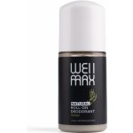 WellMax Natural roll-on aloe vera 50 ml – Hledejceny.cz