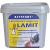 Silikon KITTFORT Lamit laminovací souprava 500g