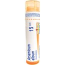 ARSENICUM ALBUM POR 15CH GRA 1X4G