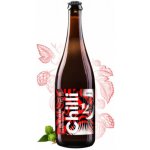Hradecký Klenot 12° Chilli ležák Pilsner 4.8% 12° 0,7 l (sklo) – Zbozi.Blesk.cz