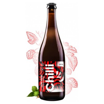 Hradecký Klenot 12° Chilli ležák Pilsner 4.8% 12° 0,7 l (sklo) – Zbozi.Blesk.cz