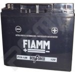 Fiamm FT19-12B – Zbozi.Blesk.cz