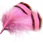 Tommi-fly PEŘÍ STŘÍBRNÉHO BAŽANTA KRČNÍ světle růžové – Hledejceny.cz