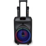 Bontempi Bezdrátový akustický kufřík na kolečkách s 2 bezdrátovými mikrofony RGB – Sleviste.cz