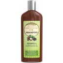 Biotter šampon s makadamovým olejem 250 ml
