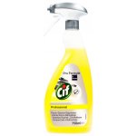 Cif odmašťovač Professional Power Cleaner 750 ml – HobbyKompas.cz