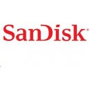 SanDisk Extreme Pro CompactFlash 32 GB SDCFXPS-032G-X46