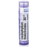 CAULOPHYLLUM THALICTROIDES POR 30CH GRA 1X4G – Hledejceny.cz