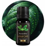 Aromaholik esenciální olej Kafr z Číny 10 ml – Hledejceny.cz