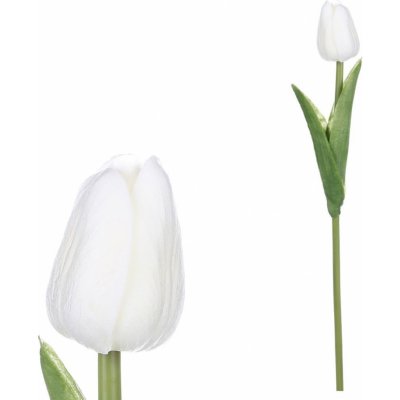 Deejada.cz Pěnový tulipán bílý – Zboží Dáma