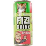 Fizi Drink Meloun 250 ml – Hledejceny.cz