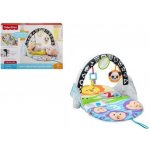 Fisher Price Dečka pro aktivní zábavu 2v1 – Hledejceny.cz