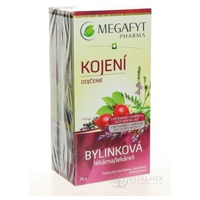 Megafyt Bylinková lékárna KOJENÍ ovocný čaj 20 x 1,5 g – Zbozi.Blesk.cz