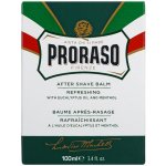Proraso balzám po holení eukalypt a mentol 100 ml – Hledejceny.cz